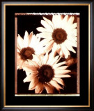 Beautiful Flower IV Pôsters por Gerard Van Hal