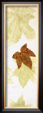 Falling Leaves II Prints by Phillip Jaeger