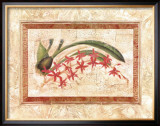Ceylon Orchid I Prints by Liu Chang