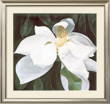 Magnolia Study Prints by Ginny Chenet