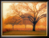 Memory of Trees Poster by M. Ellen Cocose
