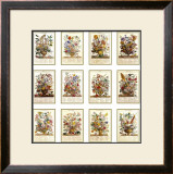 Twelve Months of Flowers Posters by Robert Furber