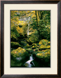 Elowah Falls Prints by Anthony E. Cook