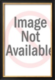 Canadian Pacific Diesel Locomotive Poster Framed Giclee Print