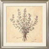 Scent of Thyme Posters by Telander 