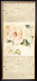 Summer Flowers II Posters by Paul Hargittai