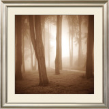 Woods Study II Prints by Alan Klug