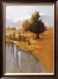 Sage Sensation Limited Edition Framed Print by Vicki Mcmurry