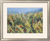 Wind-Blown Poppies Art by Gordon Breckenridge
