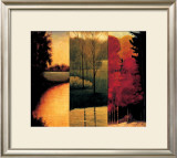 Point of View I Poster by Neil Thomas