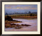A Golden Moment Limited Edition Framed Print by Brigitte Curt