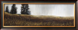 Summer Lights Prints by Patrick St. Germain