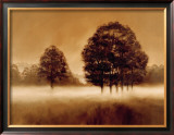 Misty Meadow Prints by Alan Parker