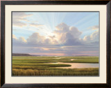 Low Country Splendor Arte por Henry Von Genk