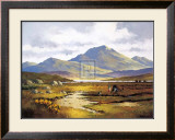 Turf Cutting Prints by D. Todd