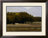 Chamberino Orchards Midday Posters by Marc Bohne