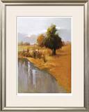 Sage Sensation Limited Edition Framed Print by Vicki Mcmurry