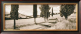 Road Through Tuscany Poster by Michael Hudson