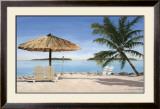 April in Paradise I Poster by Laurie Chase