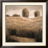 Hillside Pond I Posters by Craig Palmer