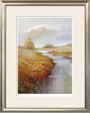 Savoury Sage Limited Edition Framed Print by Vicki Mcmurry