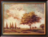 Tuscan Afternoon I Poster by P. Patrick