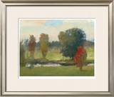 Straightforward Observation Limited Edition Framed Print by Steve Parker