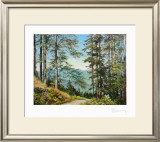 Path to the Valley Art by Ernst Frommhold