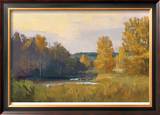 Yellow Light Limited Edition Framed Print by Steve Parker
