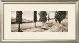 Road Through Tuscany Posters by Michael Hudson