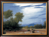 Palo Verde Wash Posters by Ann Mcleod