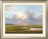 Low Country Splendor Posters por Henry Von Genk