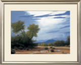 Palo Verde Wash Print by Ann Mcleod