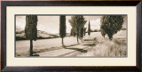 Road Through Tuscany Posters by Michael Hudson