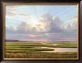 Low Country Splendor Pôsteres por Henry Von Genk