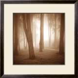 Woods Study II Poster by Alan Klug