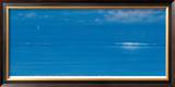 Peaceful Afternoon Limited Edition Framed Print by Derek Hare