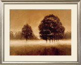Misty Meadow Prints by Alan Parker