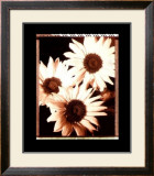 Beautiful Flower IV Pôsters por Gerard Van Hal