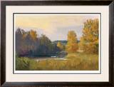 Yellow Light Limited Edition Framed Print by Steve Parker
