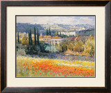 Sunlight on the Poppyfield Art by Frank Malva