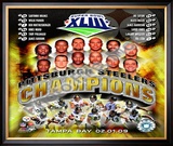 2008 Pittsburgh Steelers SuperBowl XLIII Champions Framed Photographic Print