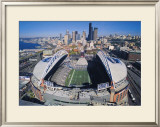 Seattle Seahawks- Quest Field Prints