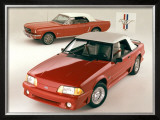 Ford Mustang Convertibles Framed Giclee Print