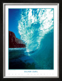 Silver Curl Posters by Woody Woodworth