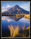 Mt. Egmont Prints by Popp-hackner 