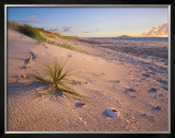 Northland Karikari Bay Prints by Popp-hackner 