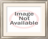 Lab Safety Behavior Prints