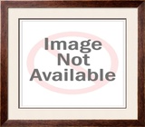 Neil Armstrong Framed Photographic Print