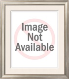 Astronauts of Apollo 11 Framed Photographic Print